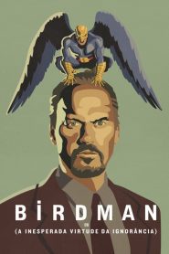 Birdman ou (A Inesperada Virtude da Ignorância)